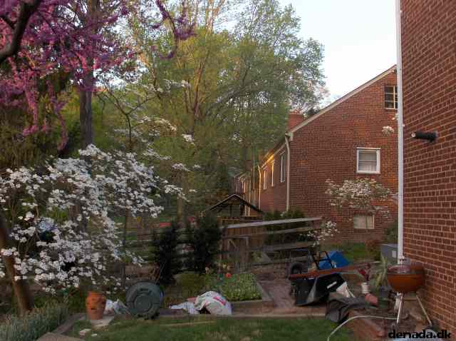 * Image 14