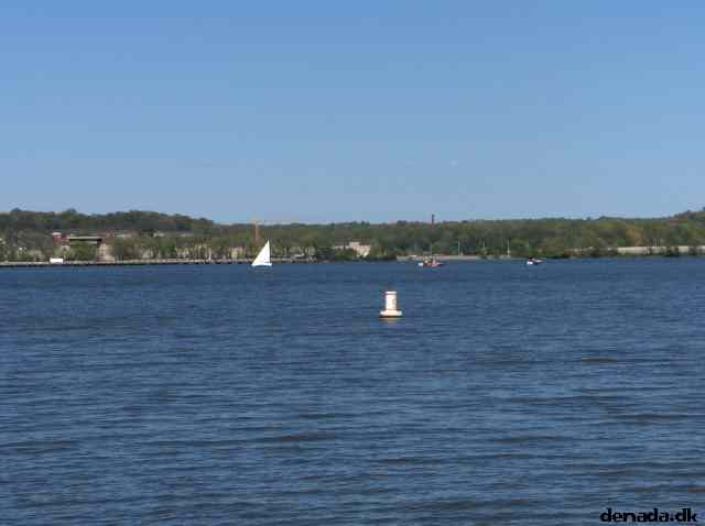 * Image 51