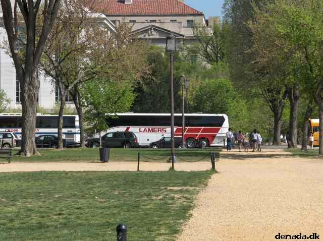 * Image 104