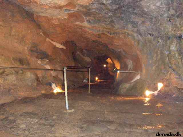 * Image 201