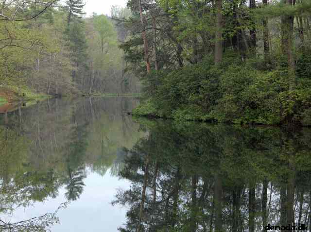 * Image 232