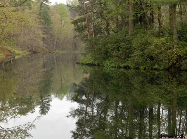 * Image 233