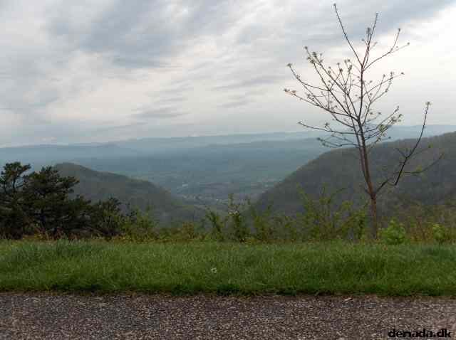* Image 236