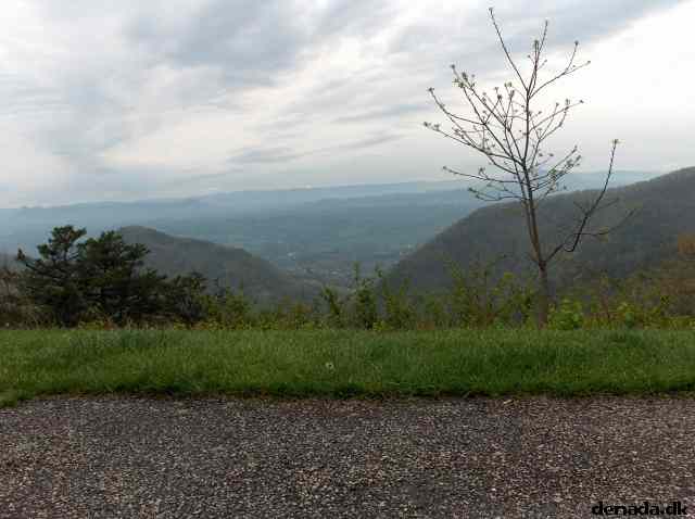* Image 237