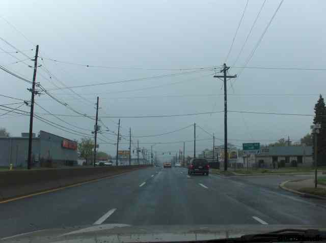 * Image 303
