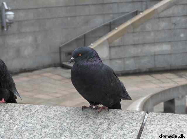 * Image 374