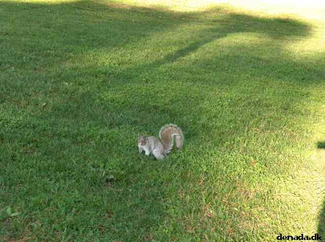 * Image 566