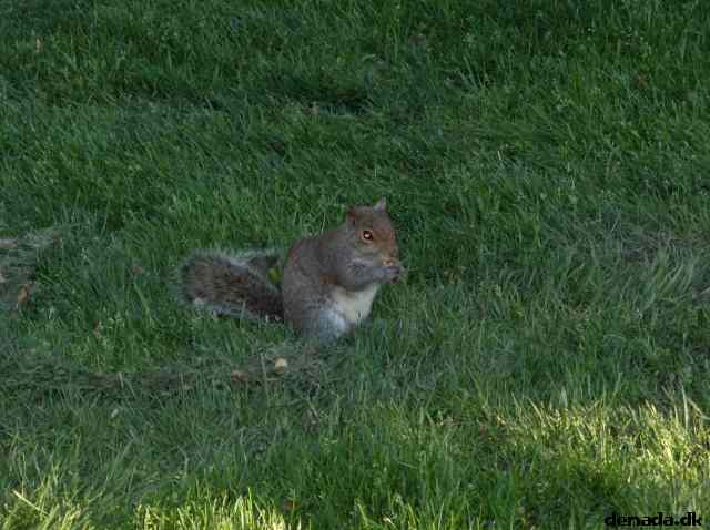 * Image 589