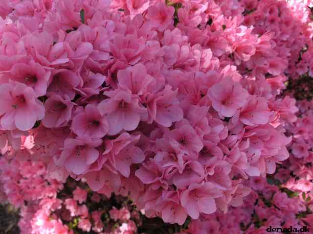 * Image 651
