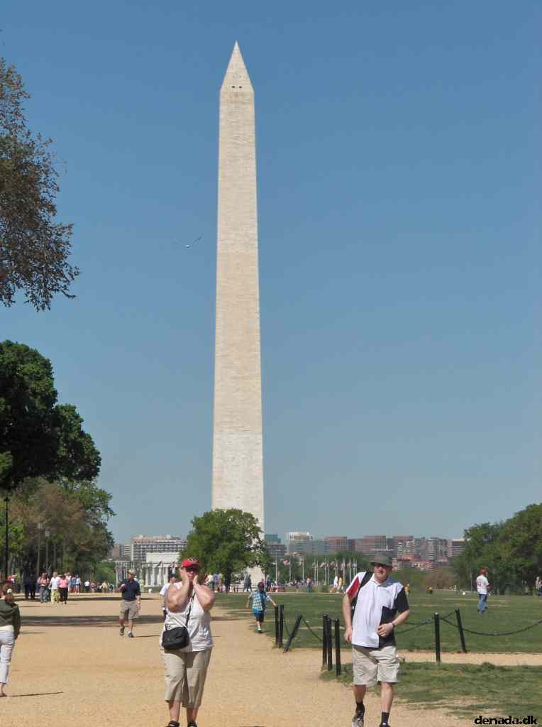 * Image 101