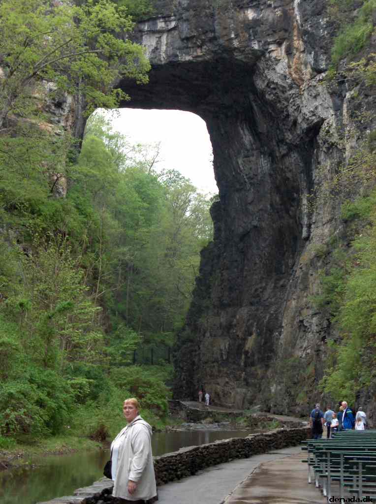 * Image 192