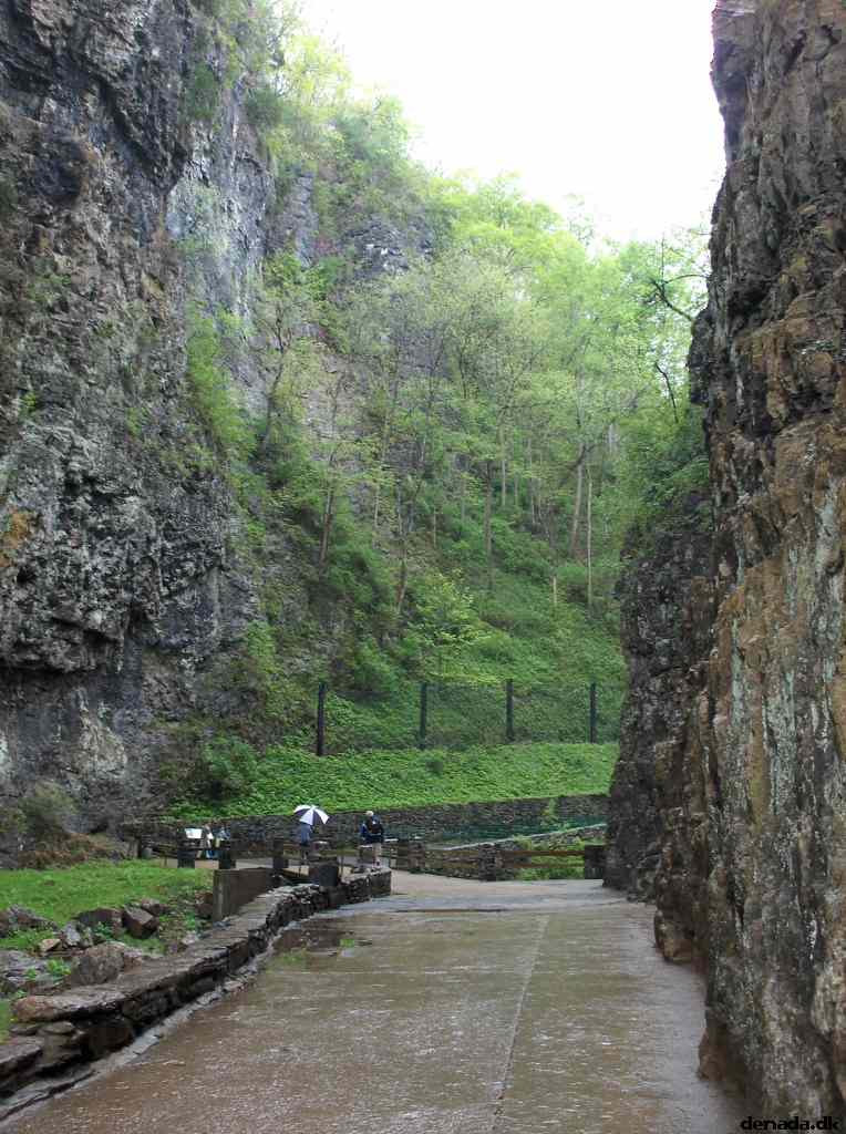 * Image 195