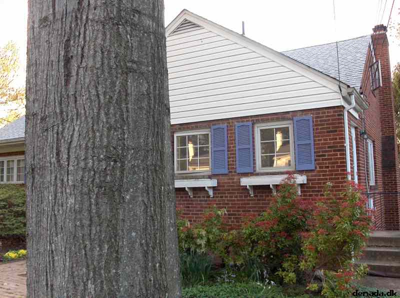 * Image 11