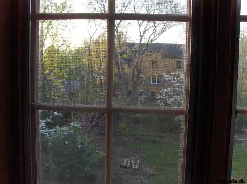 * Image 12