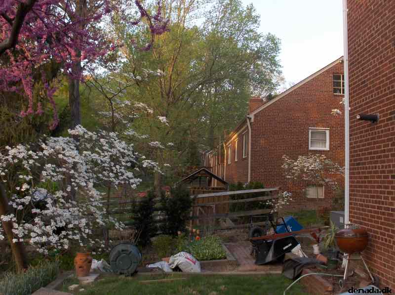 * Image 14