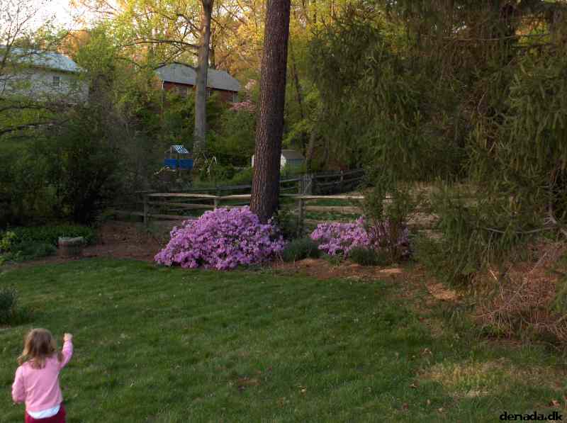 * Image 15