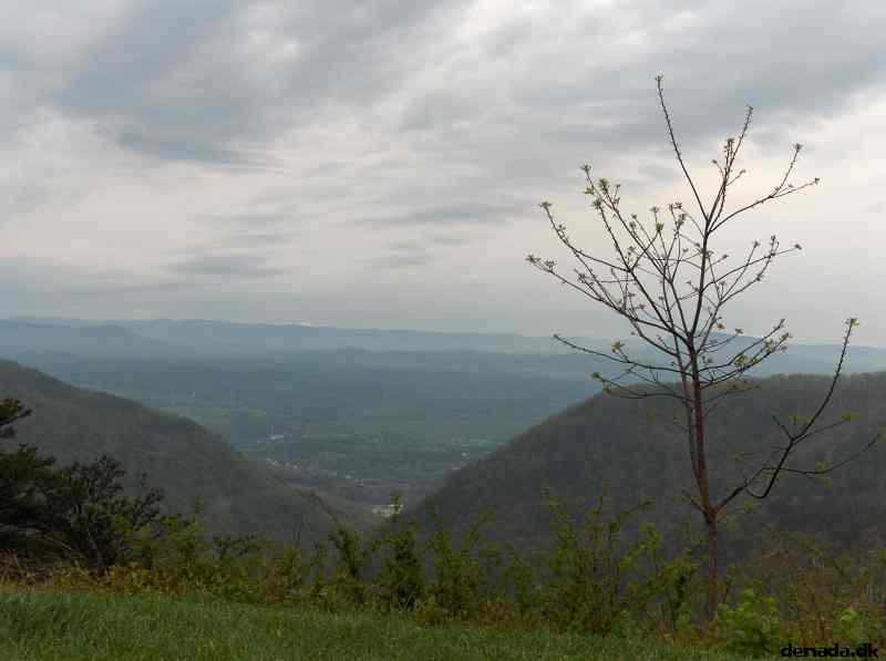 * Image 235