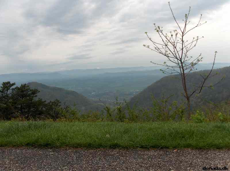 * Image 236