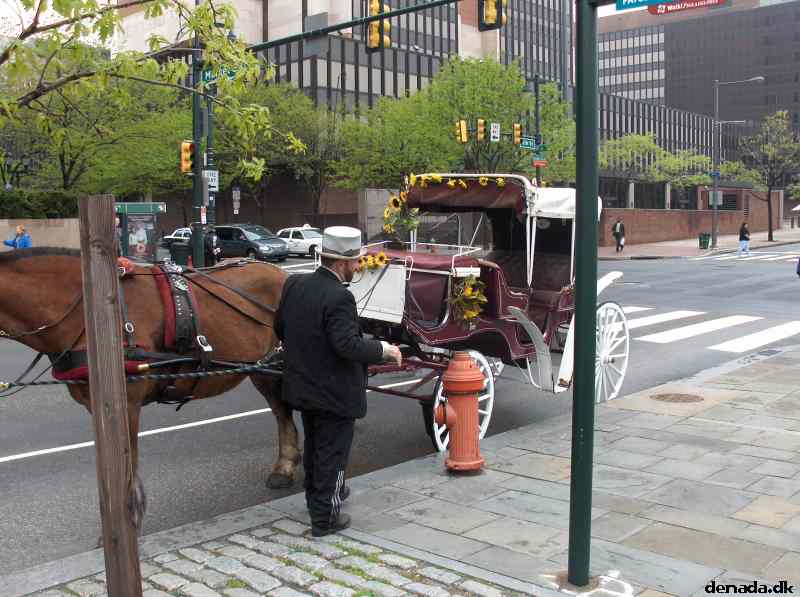 * Image 308