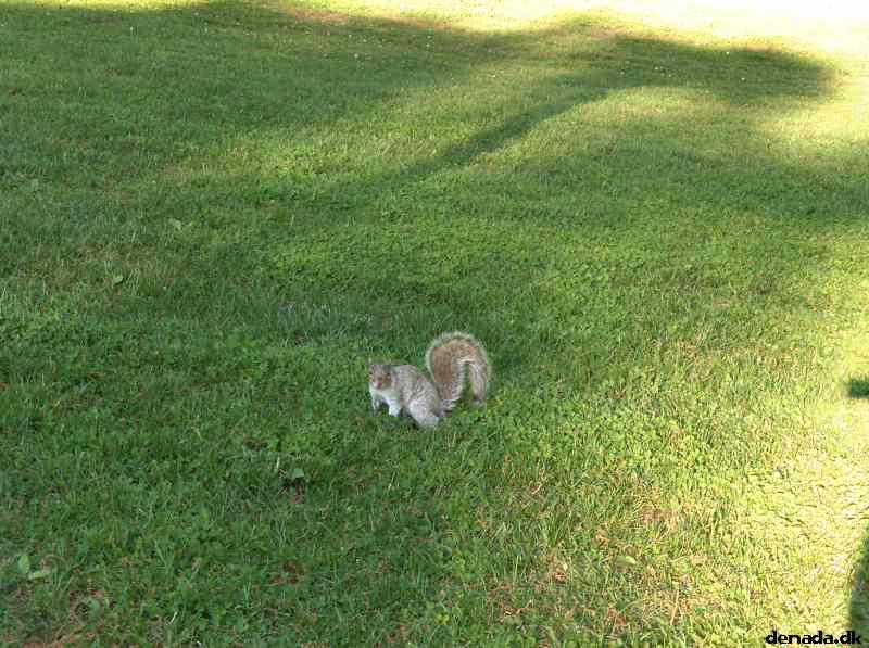 * Image 566