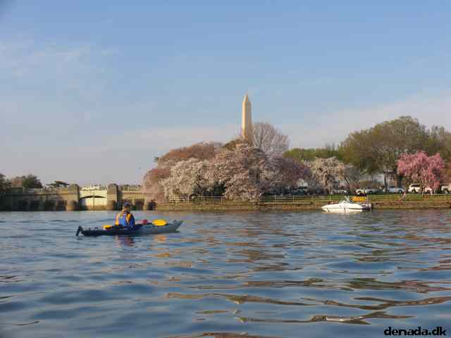 * Image 1
