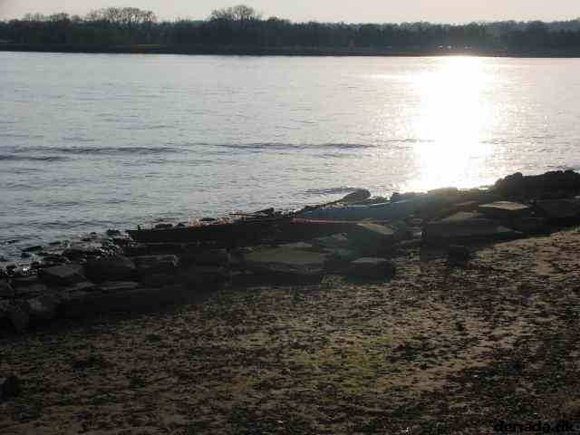 * Image 14