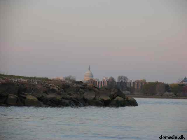 * Image 22