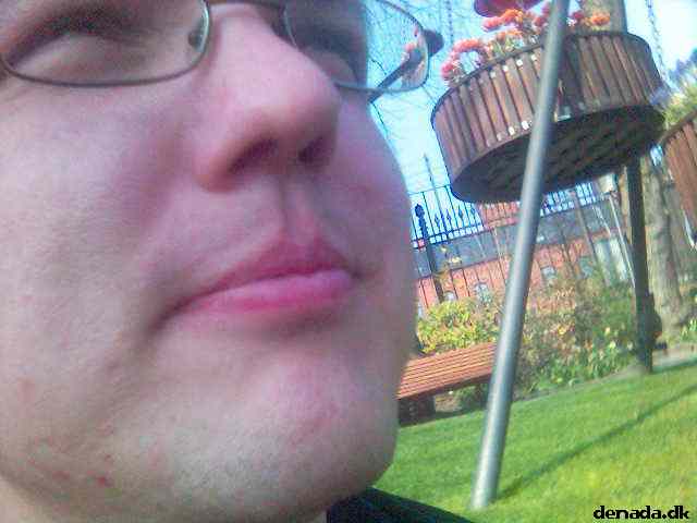 * Image 27