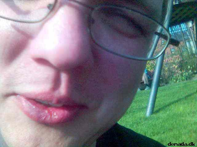 * Image 24