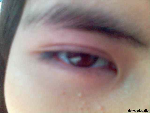 * Image 73