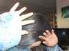 Besoeg_af_Rene_og_Rosiebel_maj_2006_001.jpg - 2006:05:13 20:48:16