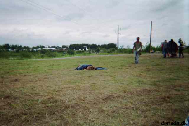 * Image 4