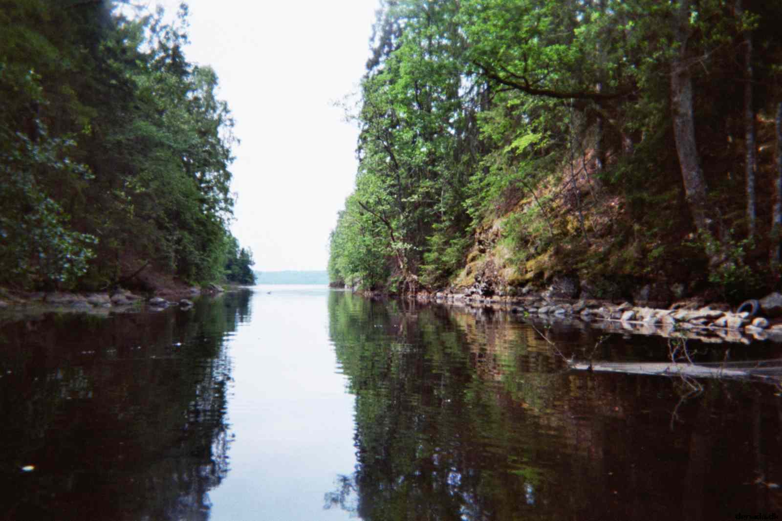 * Image 5