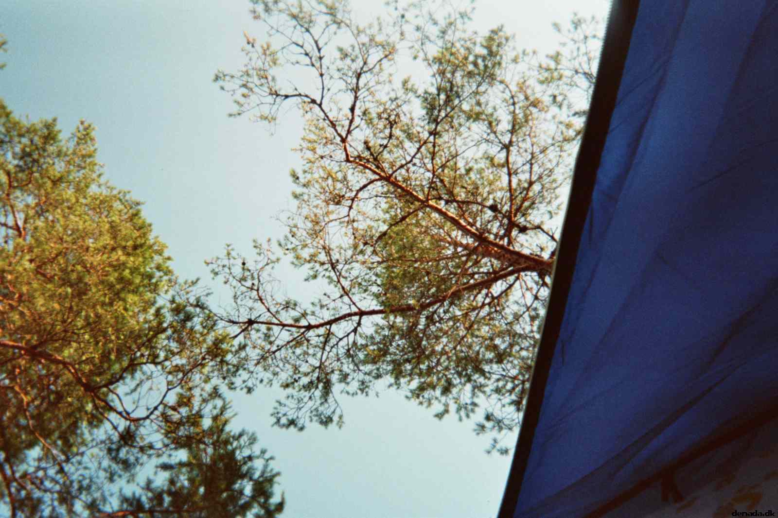 * Image 9