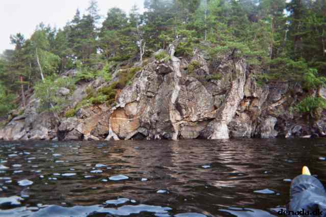 * Image 4