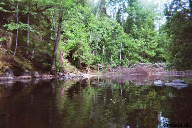 * Image 6