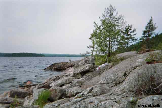 * Image 7