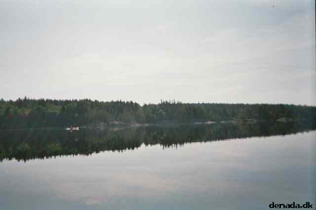 * Image 20
