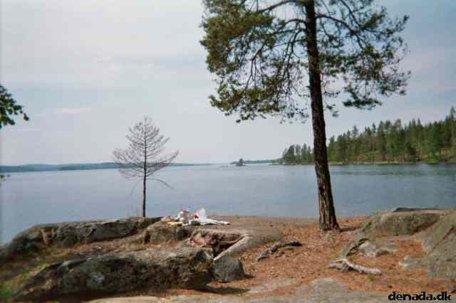 * Image 23