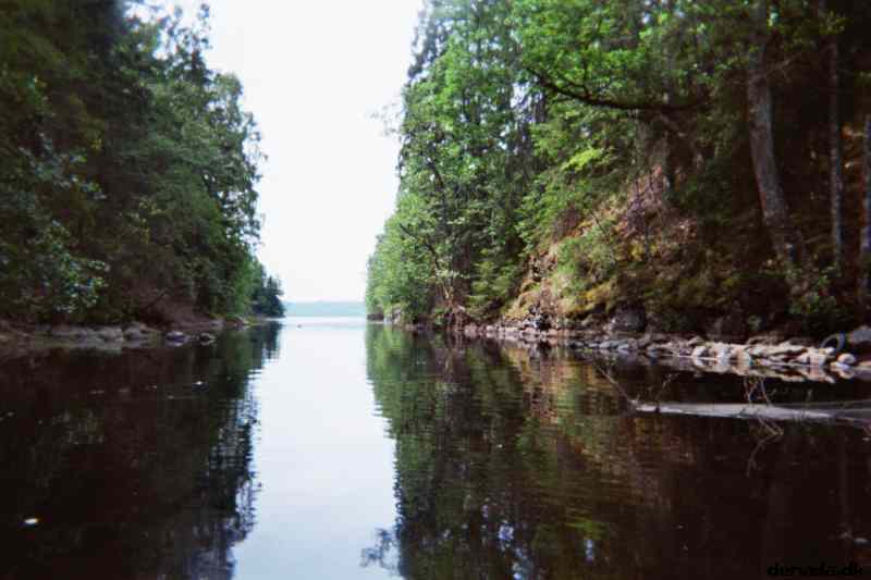 * Image 5