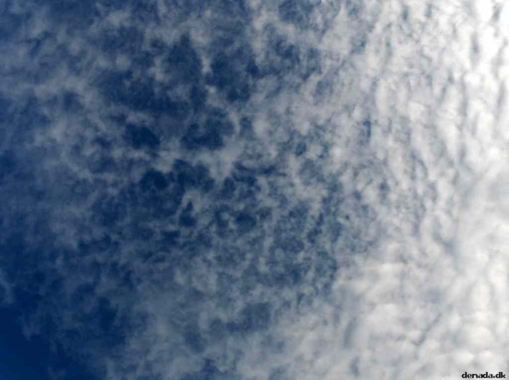 * Image 21