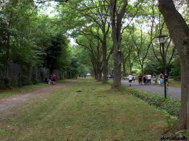 * Image 3