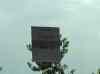 HPIM0056.JPG - 2006:07:28 15:55:34