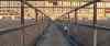 HPIM0168m.jpg - 2006:08:01 20:29:42