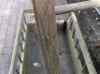 HPIM0188.JPG - 2006:08:05 15:57:23