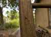 HPIM0190.JPG - 2006:08:05 15:57:49