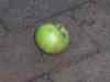 HPIM0194.JPG - 2006:08:05 15:59:58