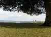 HPIM0215.JPG - 2006:08:05 17:45:12