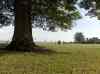 HPIM0218.JPG - 2006:08:05 17:45:33
