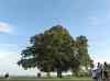 HPIM0233.JPG - 2006:08:05 19:39:28
